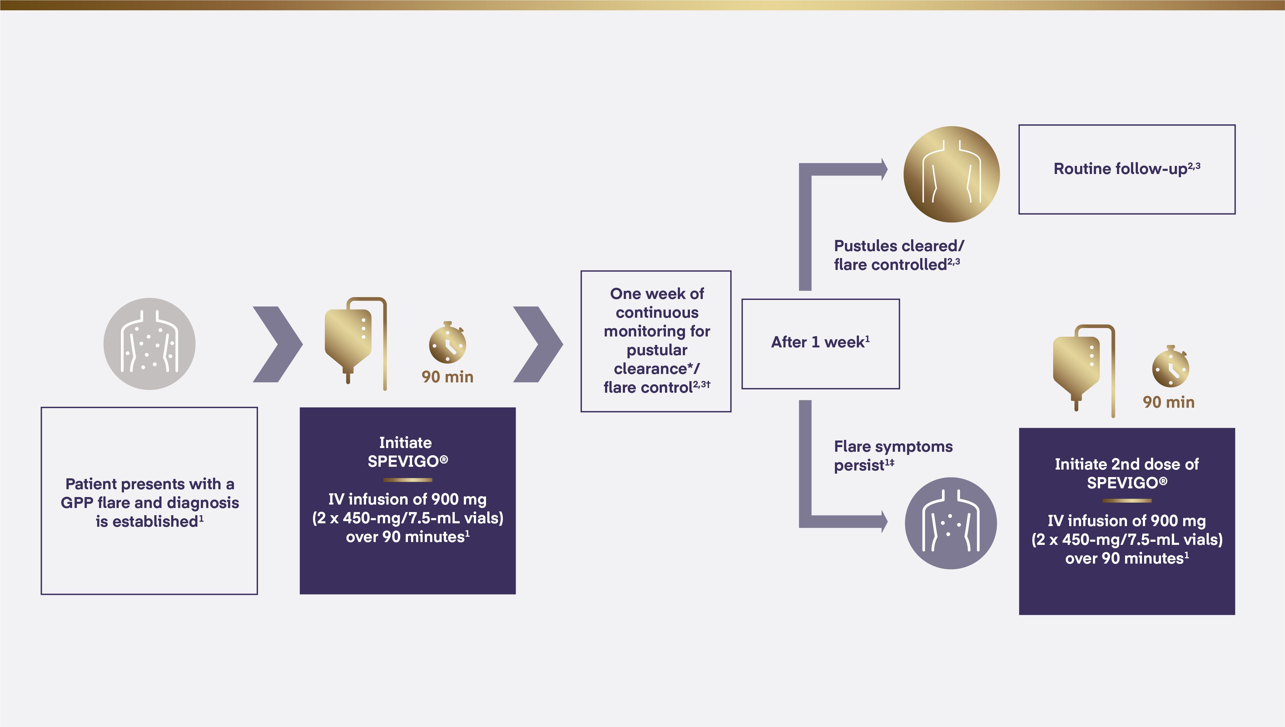 Master_Charts_SPES_GLBL_Brnd_Microsite_v20-05