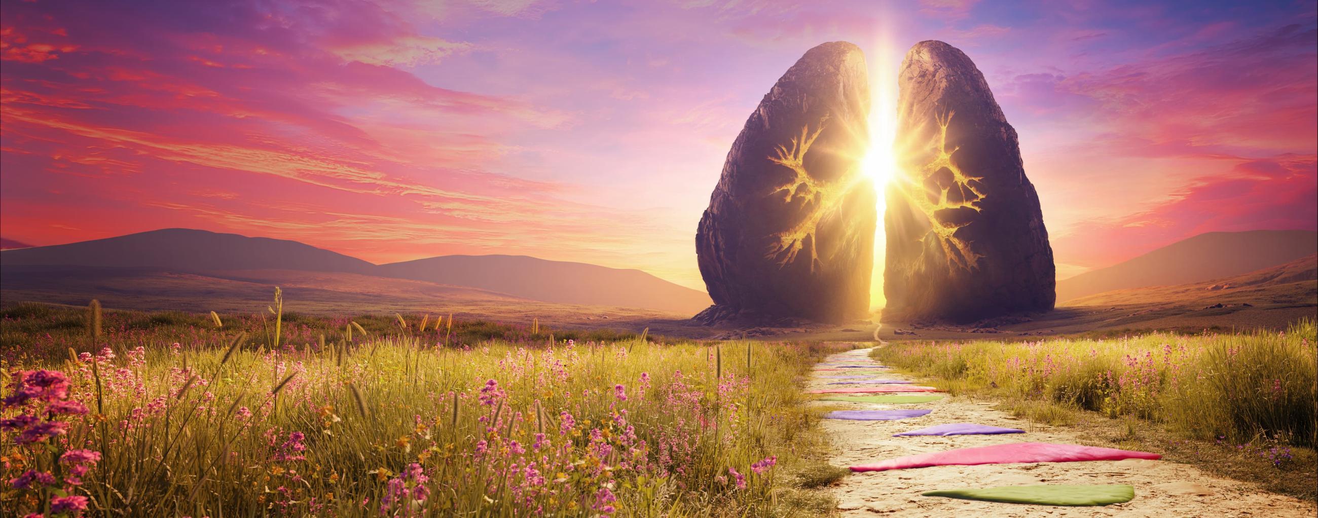 Homepage Banner