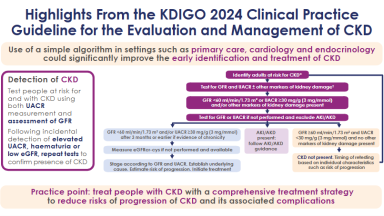 KDIGO 2024 Clinical Practice Guideline